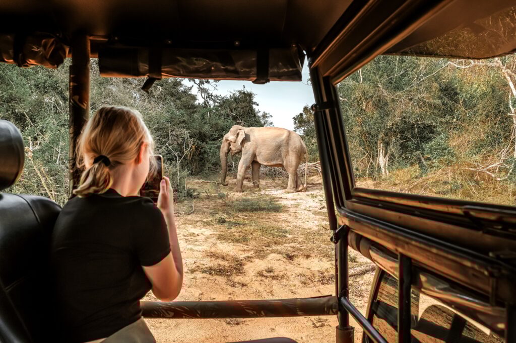aventure animalière