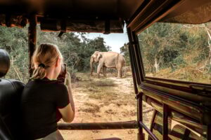 aventure animalière