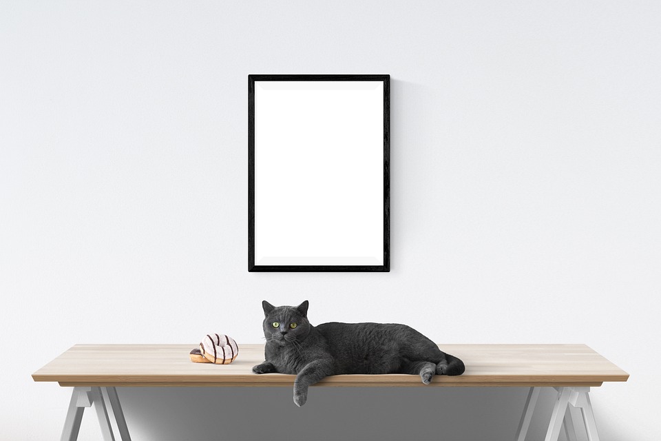 arbre à chat