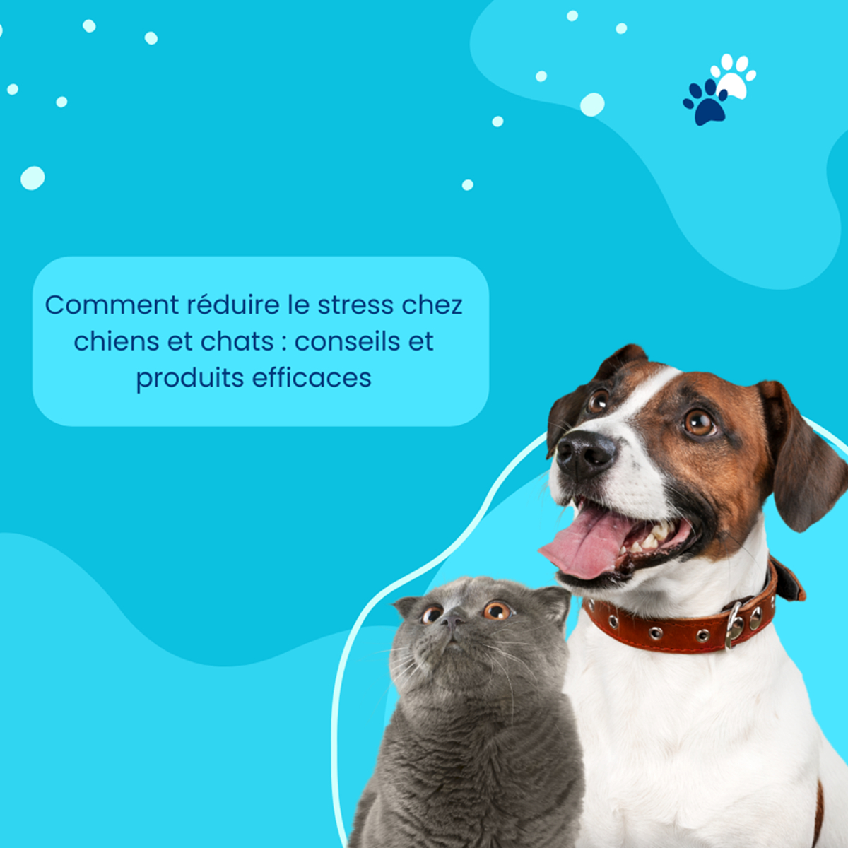 réduire le stress