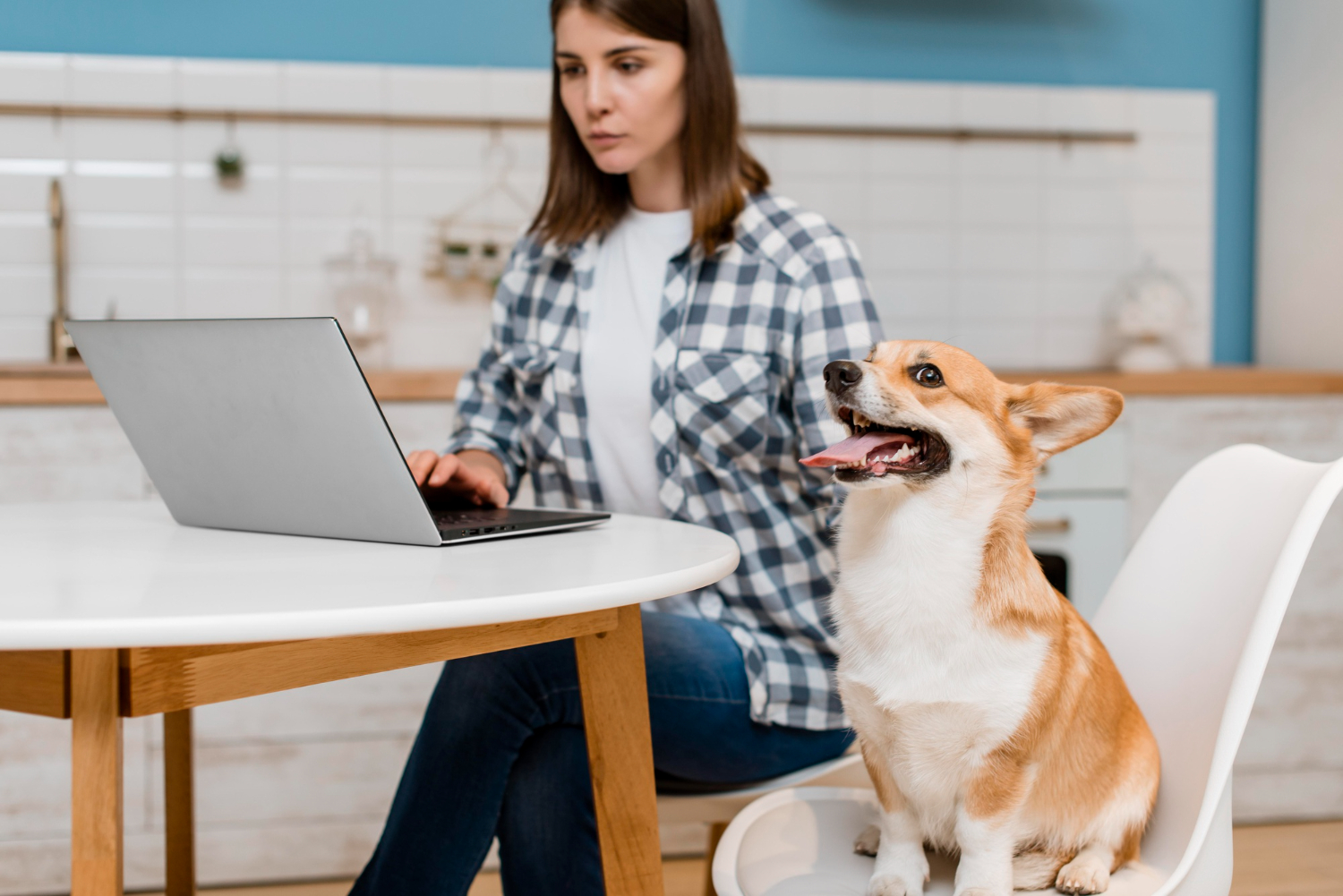 technologie animaux