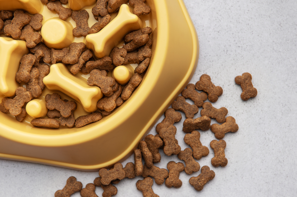 ingrédients privilégier