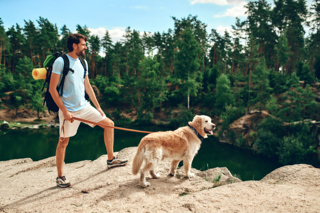 randonnée avec son chien