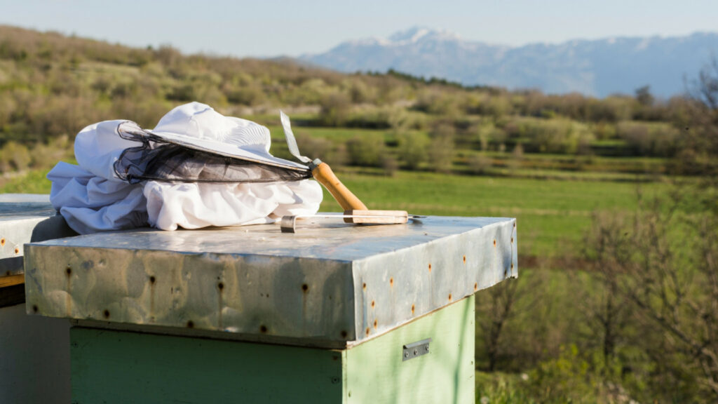 Matériel pour apiculteurs : les indispensables pour débuter