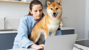 Produits vétérinaires en ligne : l’importance de l’expertise pharmaceutique