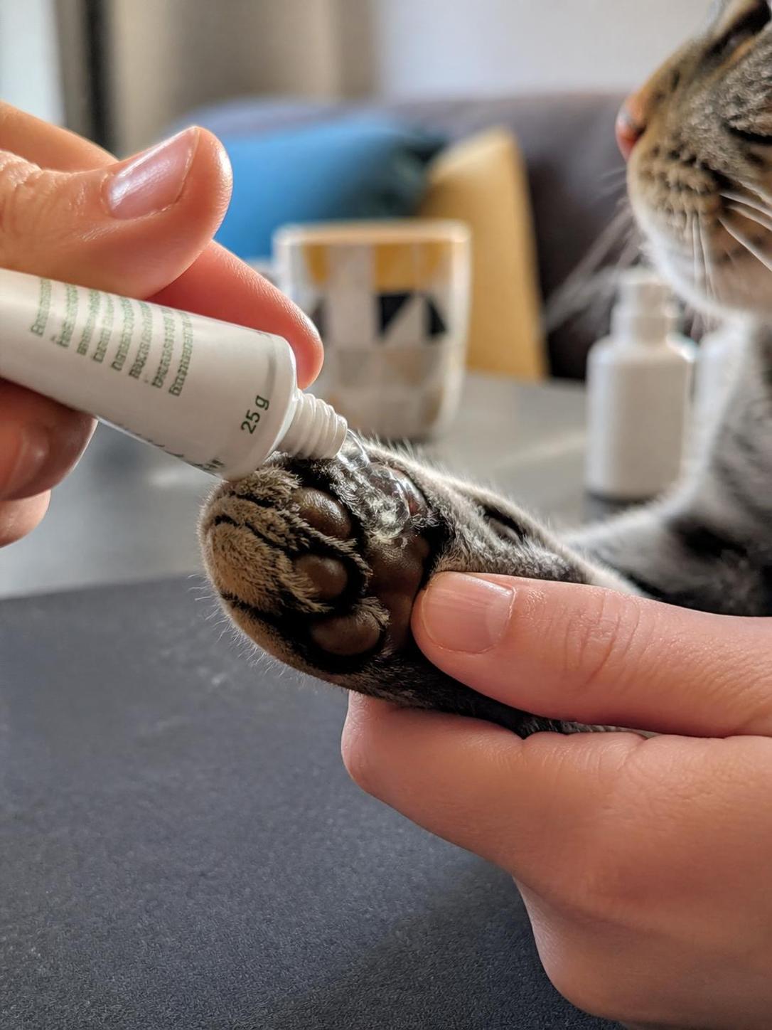 découvrez les indications, le mode d'emploi et les avis sur aloevet gel, un produit cicatrisant efficace pour favoriser la réparation de la peau et apaiser les irritations.