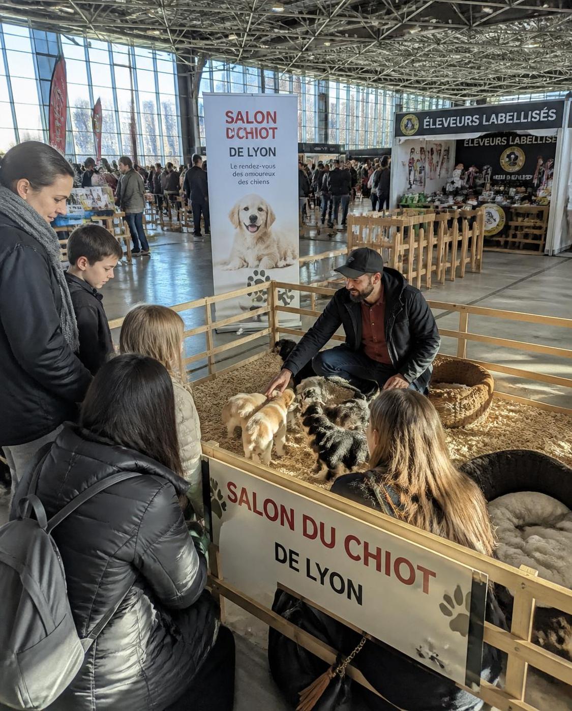 découvrez toutes les informations pratiques, les dates et les exposants du salon du chiot à lyon. préparez votre visite pour cette édition incontournable dédiée aux amoureux des chiots.
