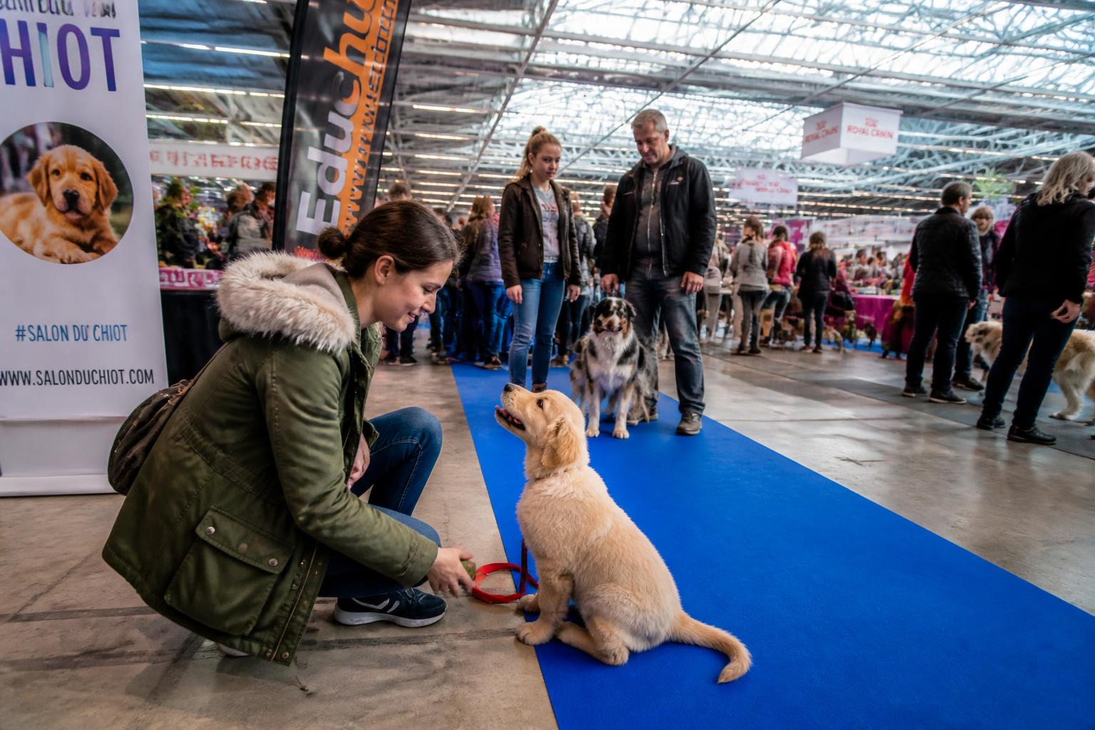 découvrez toutes les informations essentielles pour le salon du chiot paris 2025 : dates, lieu, liste des exposants et programme complet de l'événement à ne pas manquer.
