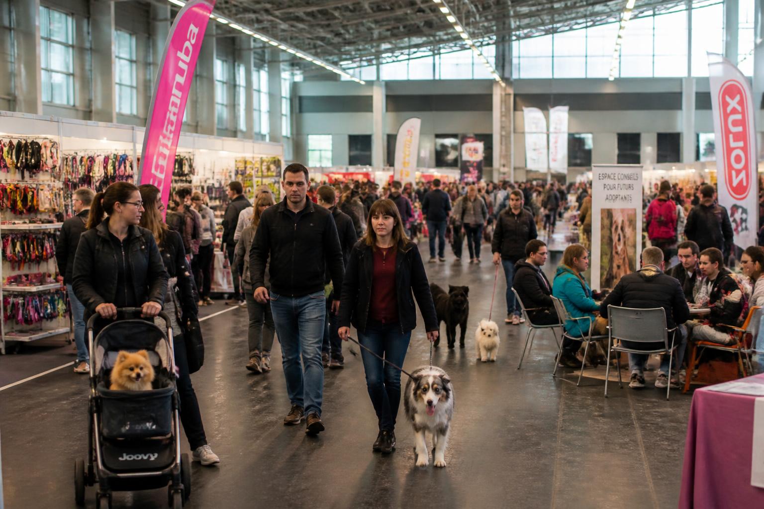 découvrez toutes les informations sur le salon du chiot reims 2025 : dates, horaires, tarifs et la liste complète des exposants pour préparer votre visite.