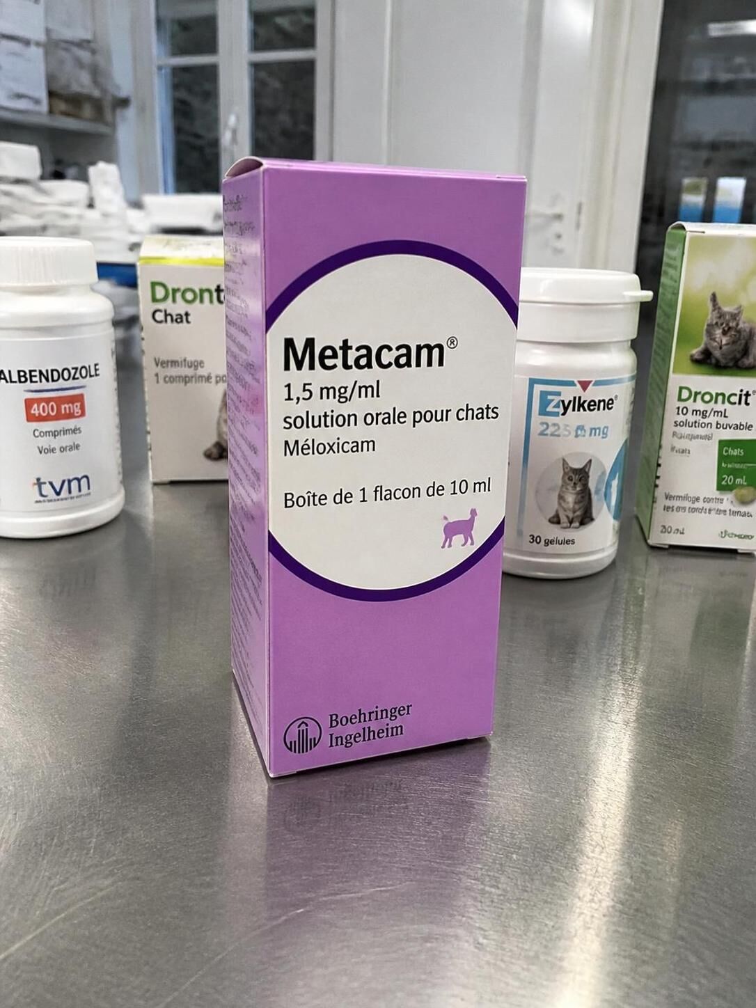 Découvrez la posologie recommandée de Metacam pour chat, ses effets contre l'inflammation et les précautions importantes à respecter pour assurer la sécurité et le bien-être de votre animal.