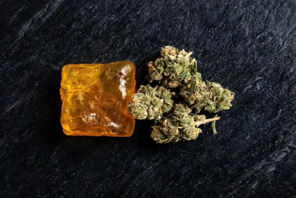 Résine CBD vs fleur CBD : le comparatif honnête pour faire le bon choix