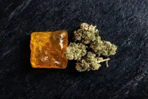 Résine CBD vs fleur CBD : le comparatif honnête pour faire le bon choix