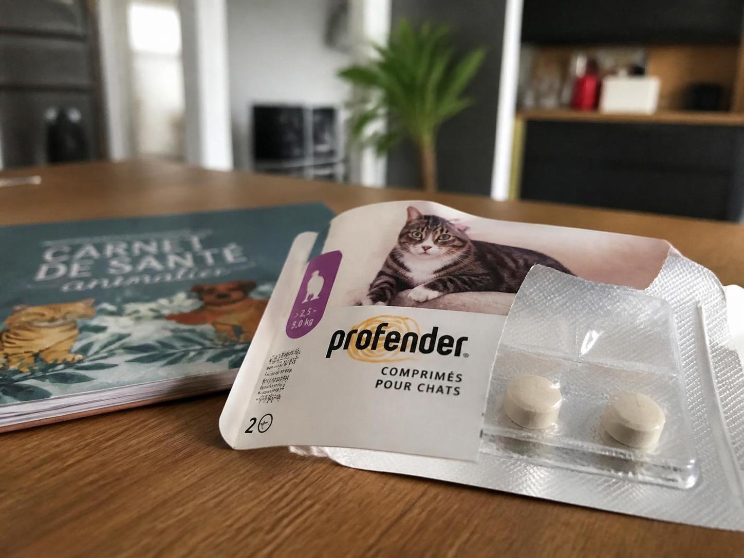 découvrez tout sur profender pour chien : posologie recommandée, prix compétitifs et avis d'utilisateurs sur ce vermifuge complet efficace pour protéger votre animal.